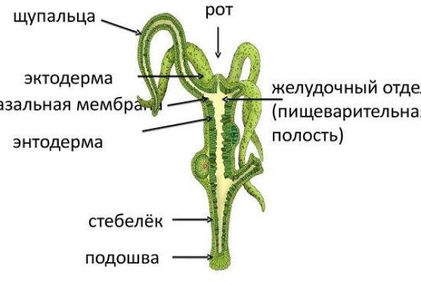 Kraken darknet ссылка