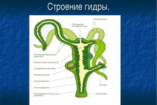 Кракен магазин kraken014 com